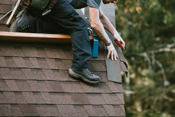 Roof Gutter Cleaning in Auburn Hills, MI